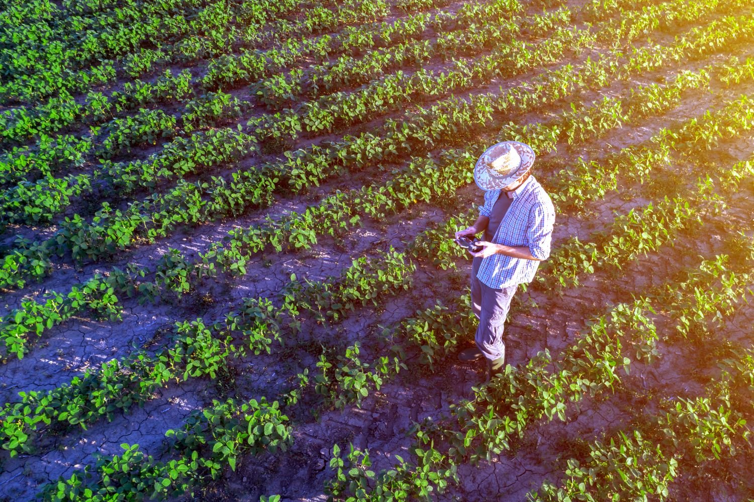 Novo seguro rural pode custar 4 vezes mais e exigir até R$ 4,5 bilhões por ano