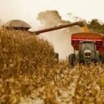 Seguro rural pode ampliar proteção ao crédito e ao investimento