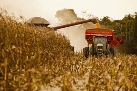 Empresas ensaiam volta do seguro de renda ao produtor rural